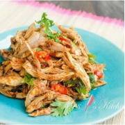 Shredded Chicken with Chilli Sauce 麻辣手撕鸡